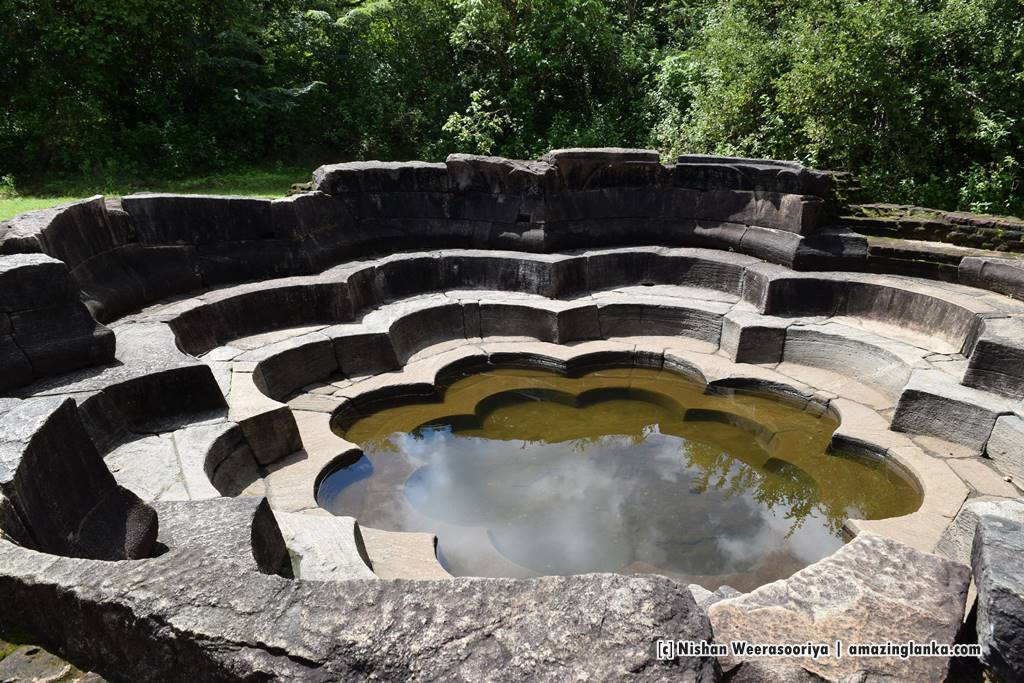 24034041656_9779fcc4a6_b