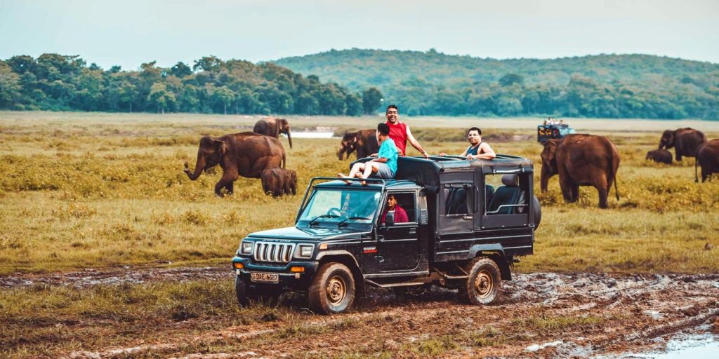 Safari-Experience-In-Sri-Lanka-1024×512