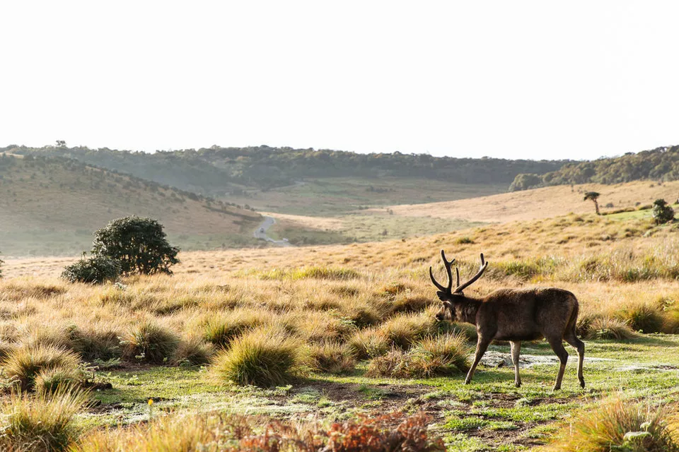 image_processing20220118-4-1xymj1j