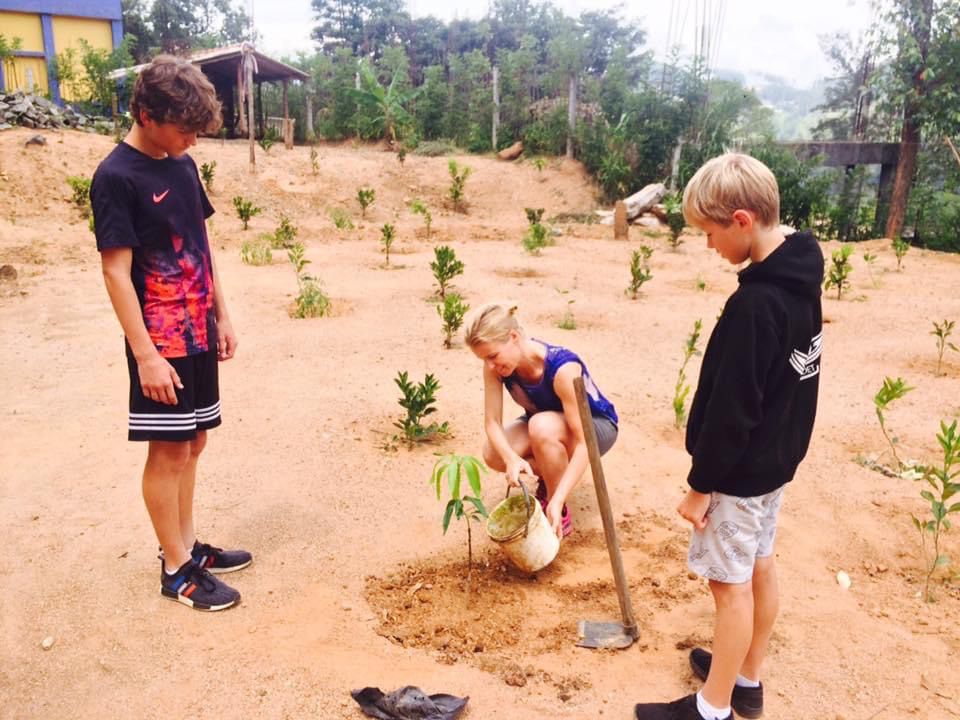 7ef11b67-08f2-43bb-ad64-1ae1d14d6ab6